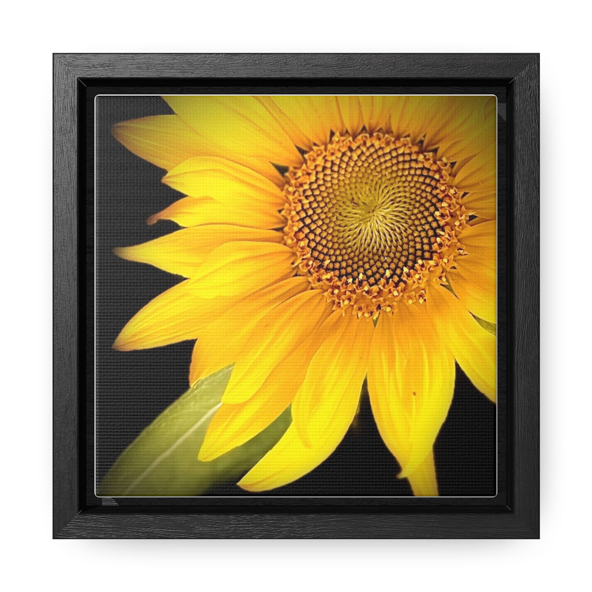 Sun flower on canvas, Square Frame - #1