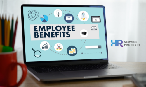 Got Benefits? Here's What to Know About Your Company Benefits
