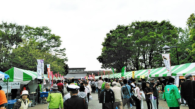 舎人公園桜まつり2018