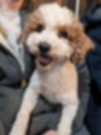 PXL_20230115_004915504