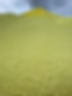 A4756B44-805E-4929-B4BA-9C71CDACF4FE.jpg