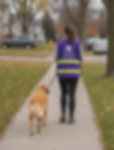 West Metro Pet Care team member wearing a purple safety vest while walking a dog in Waconia, Edina, and the western Twin Cities metro area.