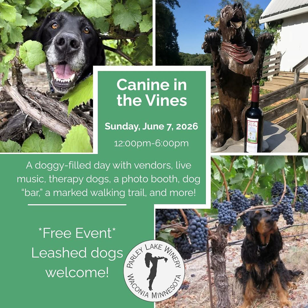 Canine in the Vines