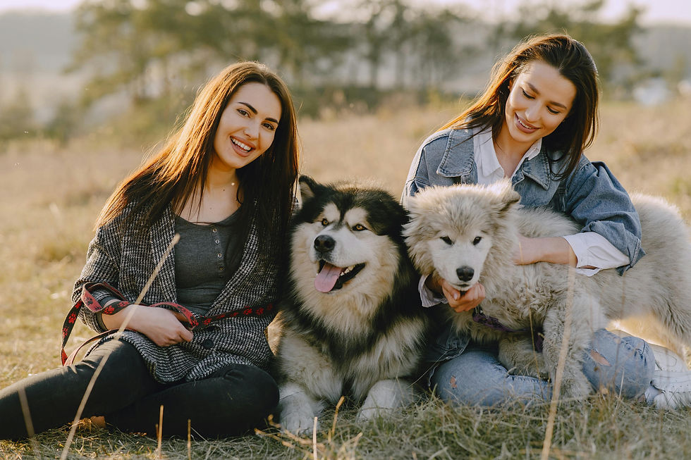 Friends and Their Dogs