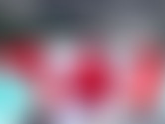 Canada's New TR to PR Pathway