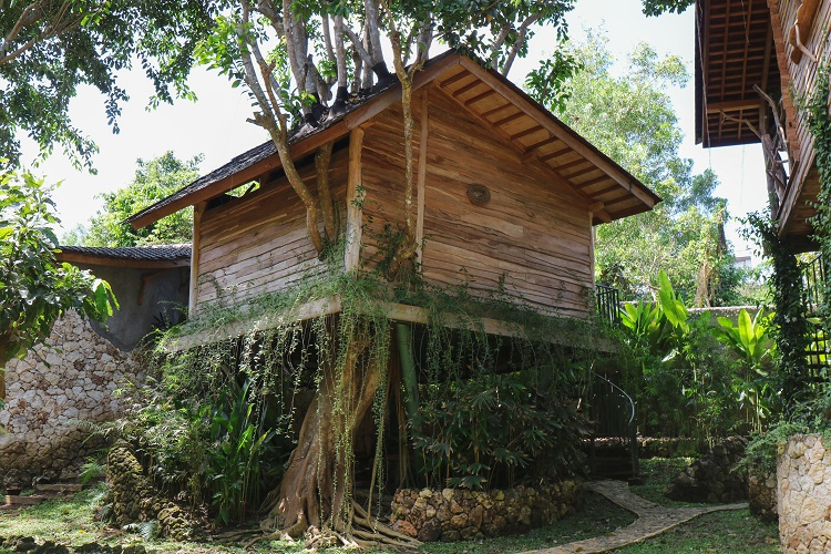 Ginger Treehouse Stay Bali: A Magical Escape with Roots Tree House