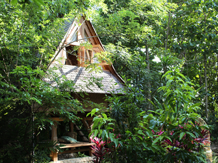 Traditional Lumbung Padi Bali: A Timeless Cultural Experience with Roots Tree House