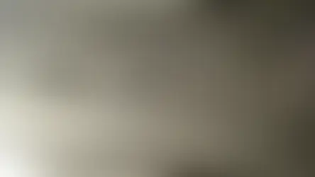 O que é o número do chassi do veículo? Guia para consultar