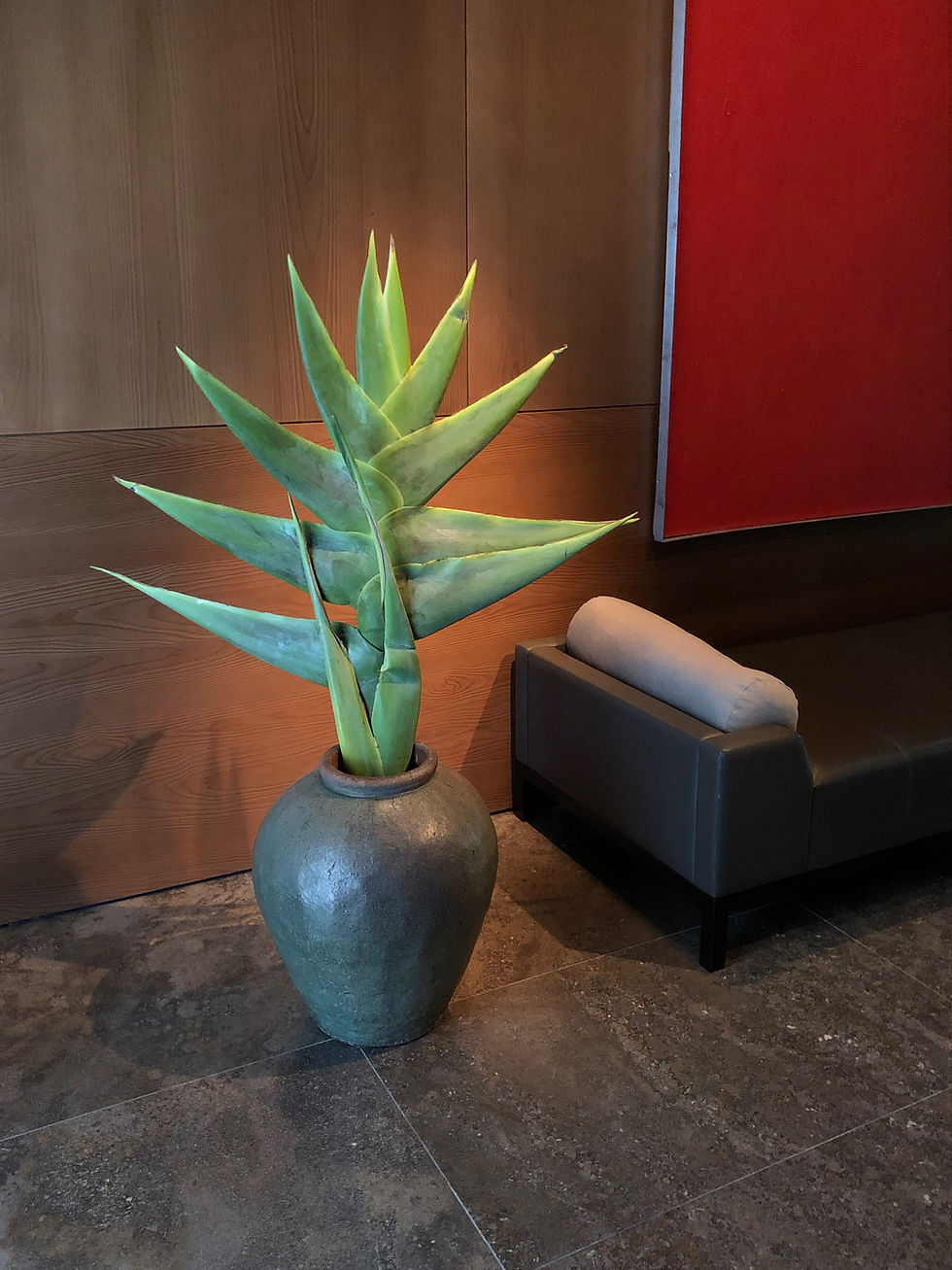 Best Munich Florist Top Florists in Munich Germany Forma Laboratory