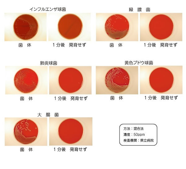ASFA感染の主たる原因となる菌に対する分解力.jpg