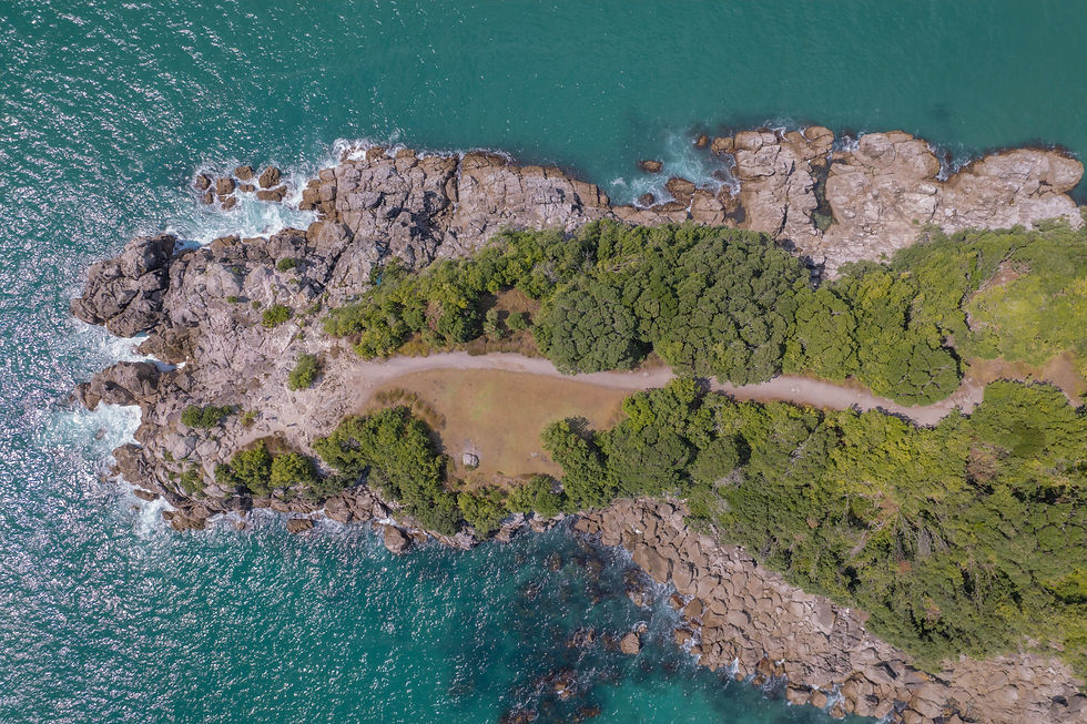 DJI_0051-Enhanced-SR copy.jpg