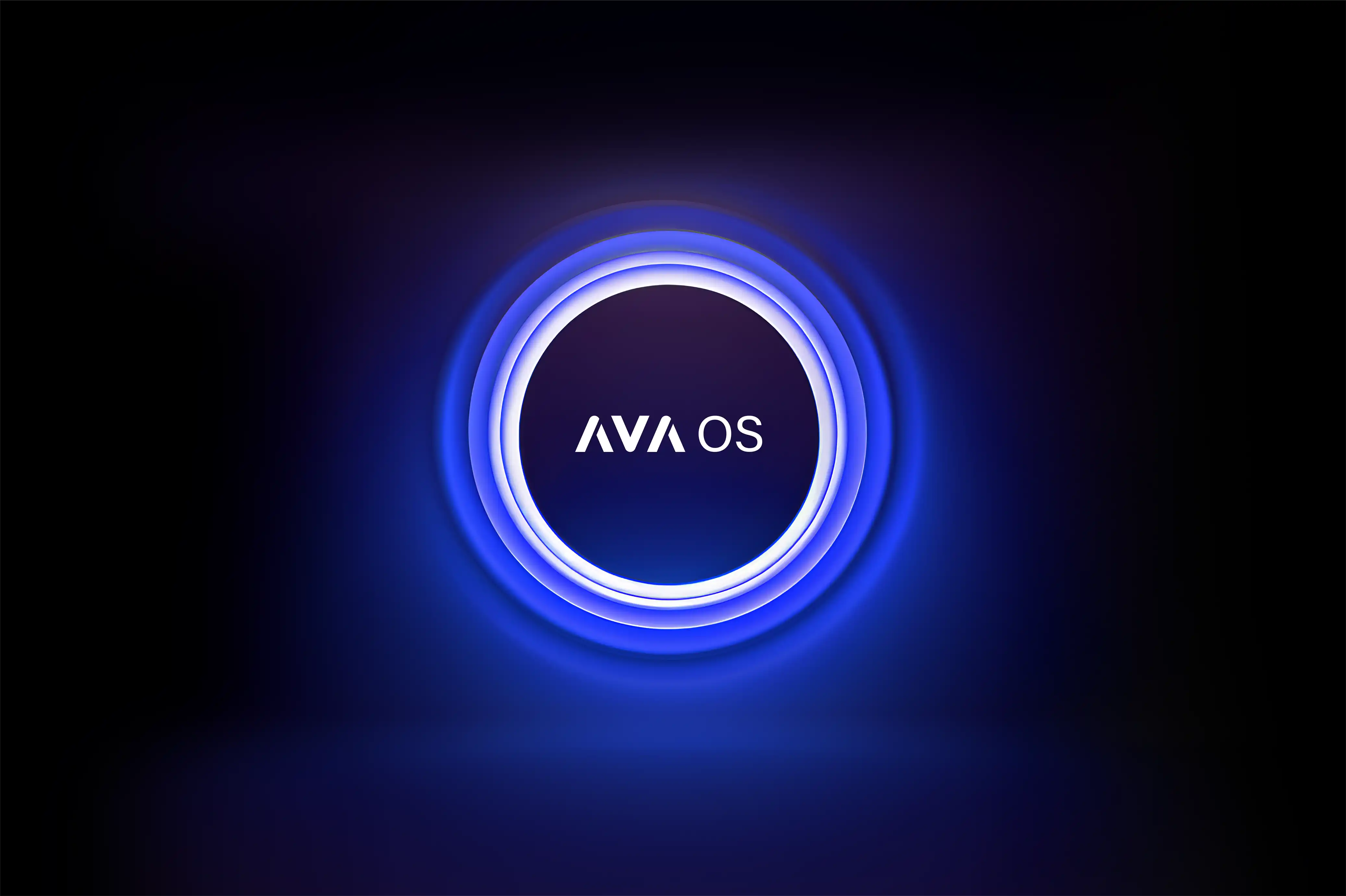 AVA Remote AVA Speakers AVA Inc.