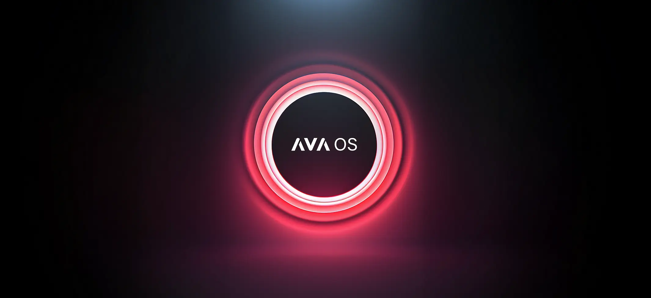 AVAOS B2.webp