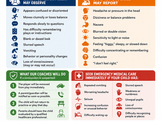 Concussion Information