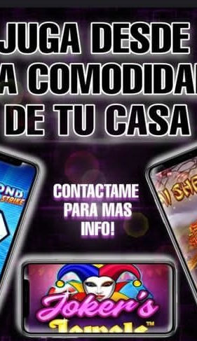 WhatsApp Image 2022-10-04 at 15.04.17.jpeg