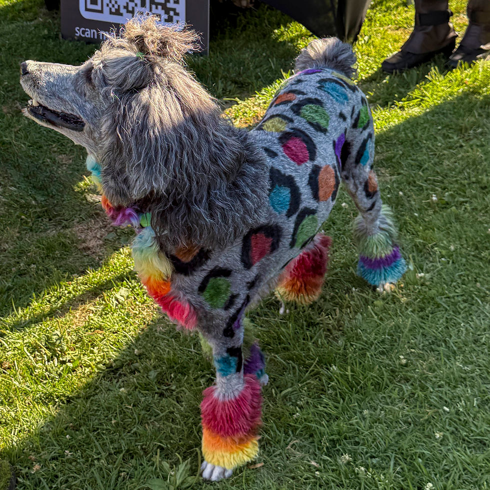 Pawmicon_3