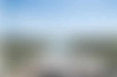 Rewarding Volunteer Opportunities with KOAH in 2019