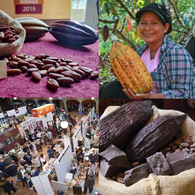 BOLIVIA: DOS MEDALLAS POR SU CACAO 