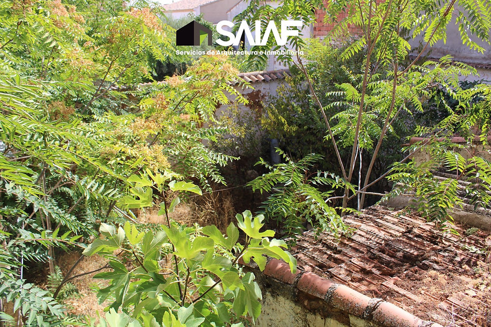 Miniatura: Casa en Calle Canalejas de Ossa de Montiel