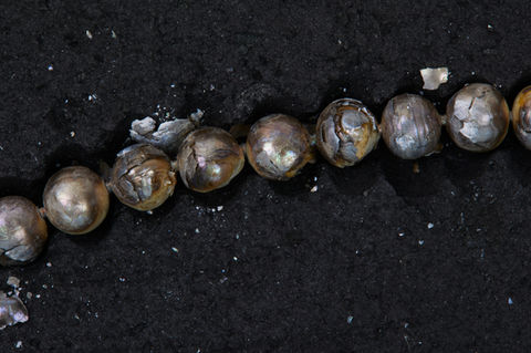 pearl explosion 20662.jpg