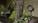 Introducing the Garden Array