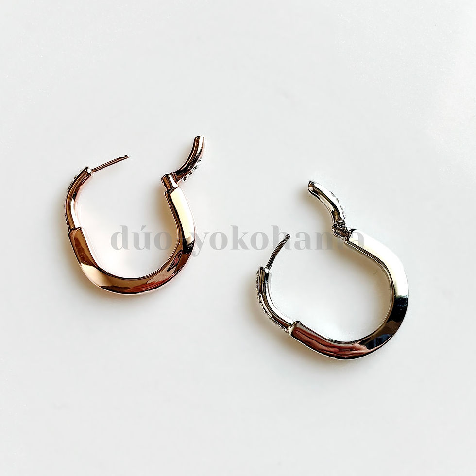 サムネイル： NFオーバルサークルロックピアス