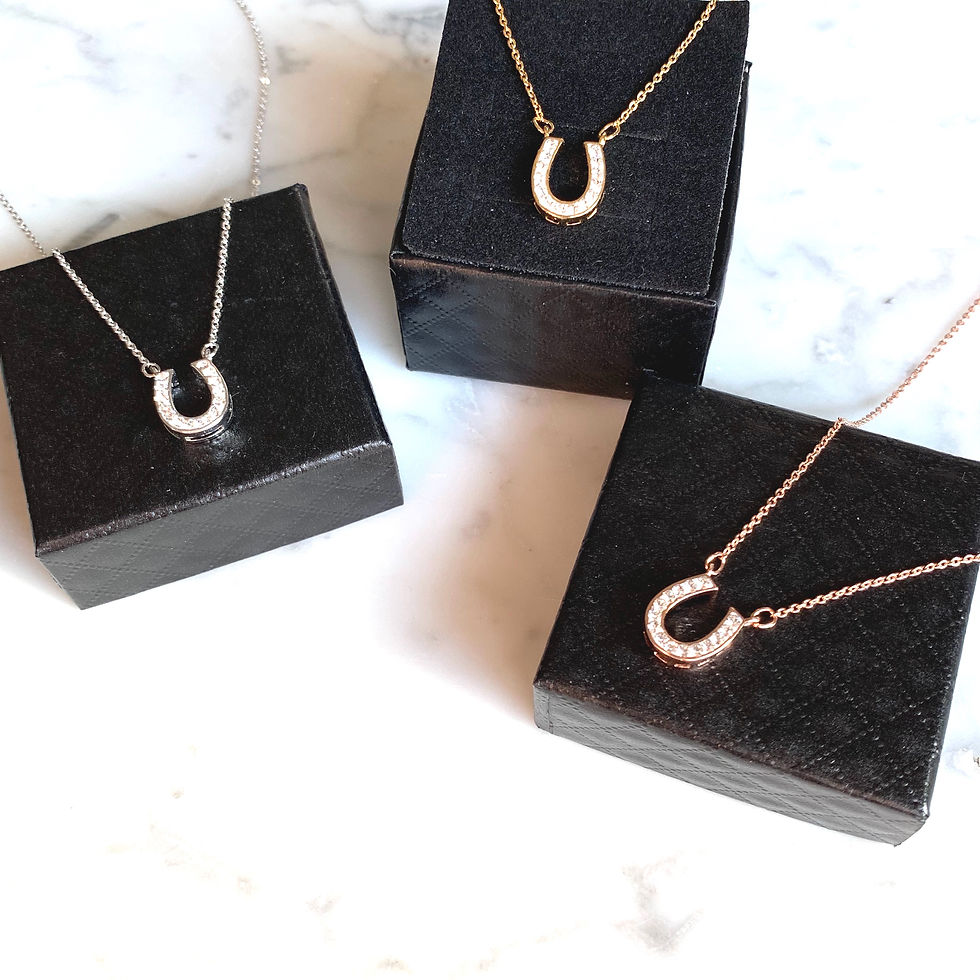 NF ホースシューネックレス