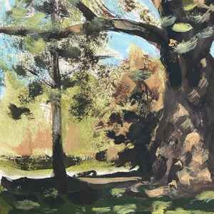 Observational Drawing