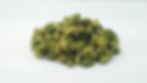 印度小荳蔻