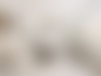 Neutral Tones always a Winner in Home Staging