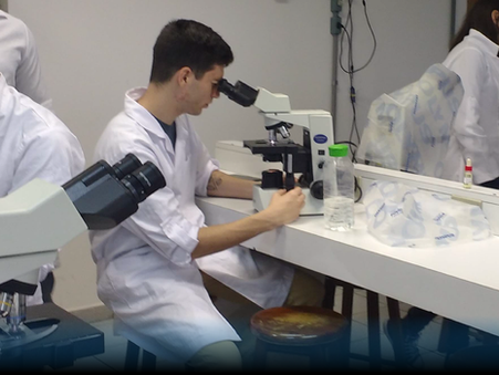 Bastidores da Pesquisa no Departamento de Engenharia Química e Engenharia de Alimentos - UFSC