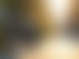 Online eBike Purchases: Why Personal Service and Warranty Support Matter More