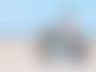 Velotric Breeze 1 $1,799