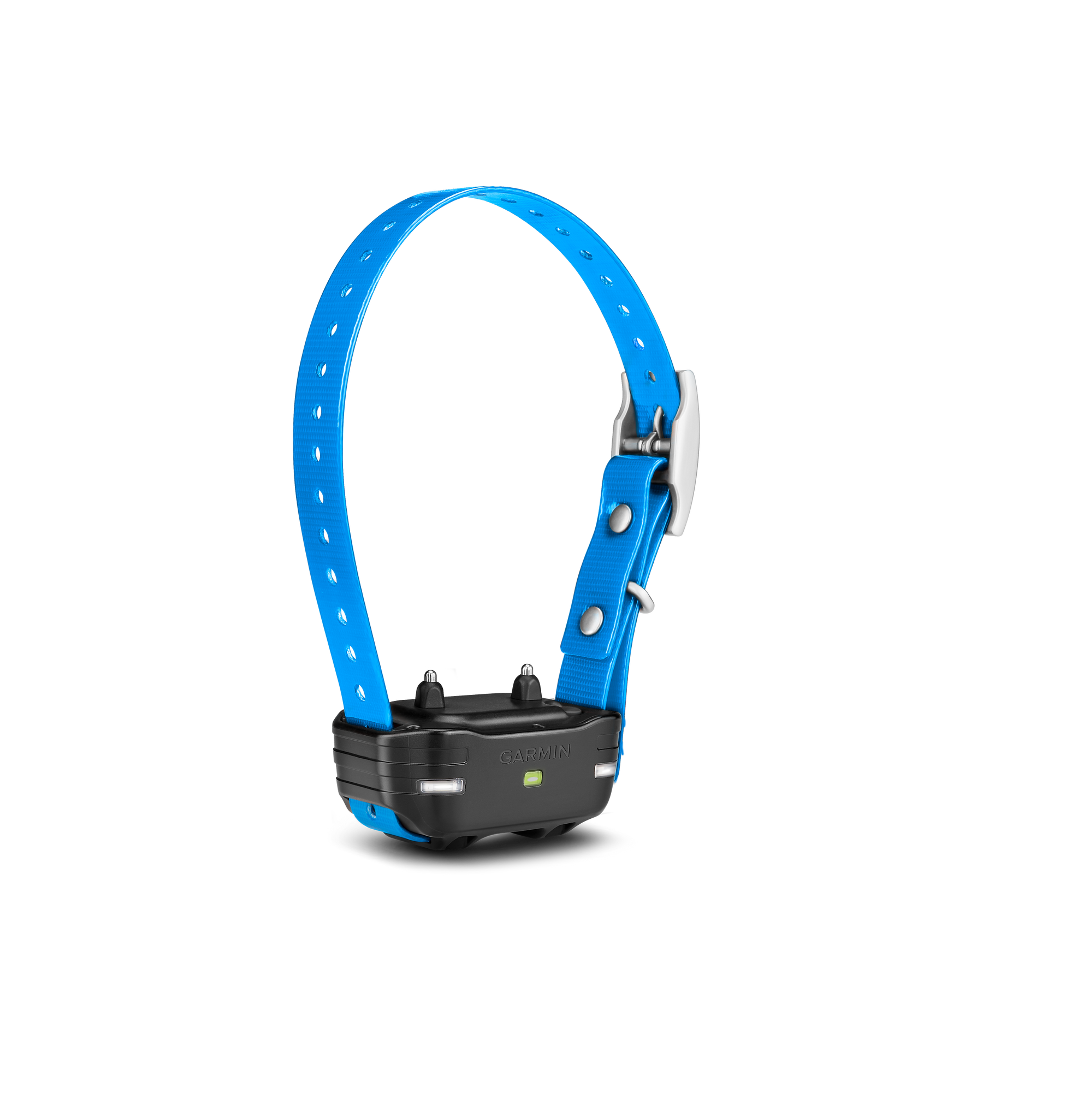 PT10 Dog Device, Blue Collar