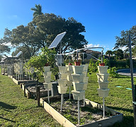 IMG-4785.jpg