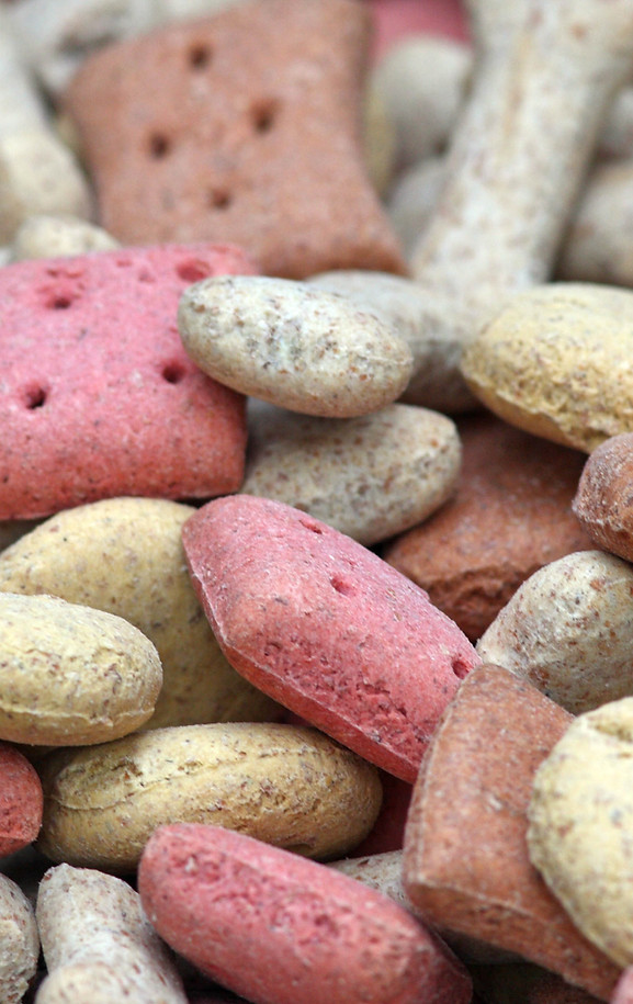Conseils Pet Nutrition 