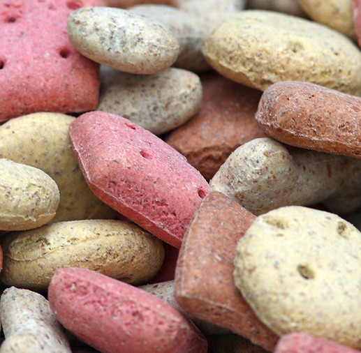 Pet Nutrition Advice 