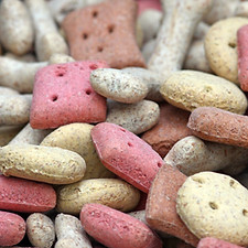 Pet Nutrition Advice 