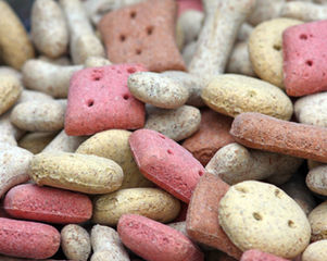Pet Nutrition Advice