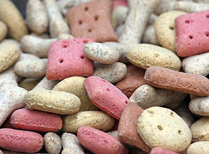 Pet Nutrition Advice
