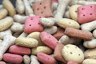 Pet Nutrition Advice 