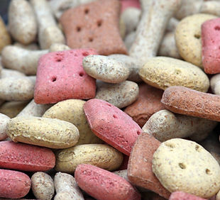 Consejos Pet Nutrition 