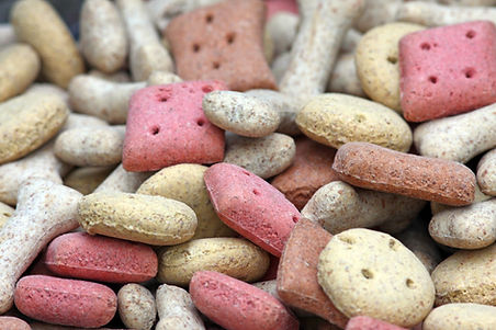 Pet Nutrition Advice