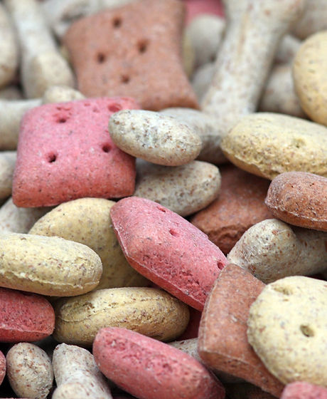 Pet Nutrition Advice