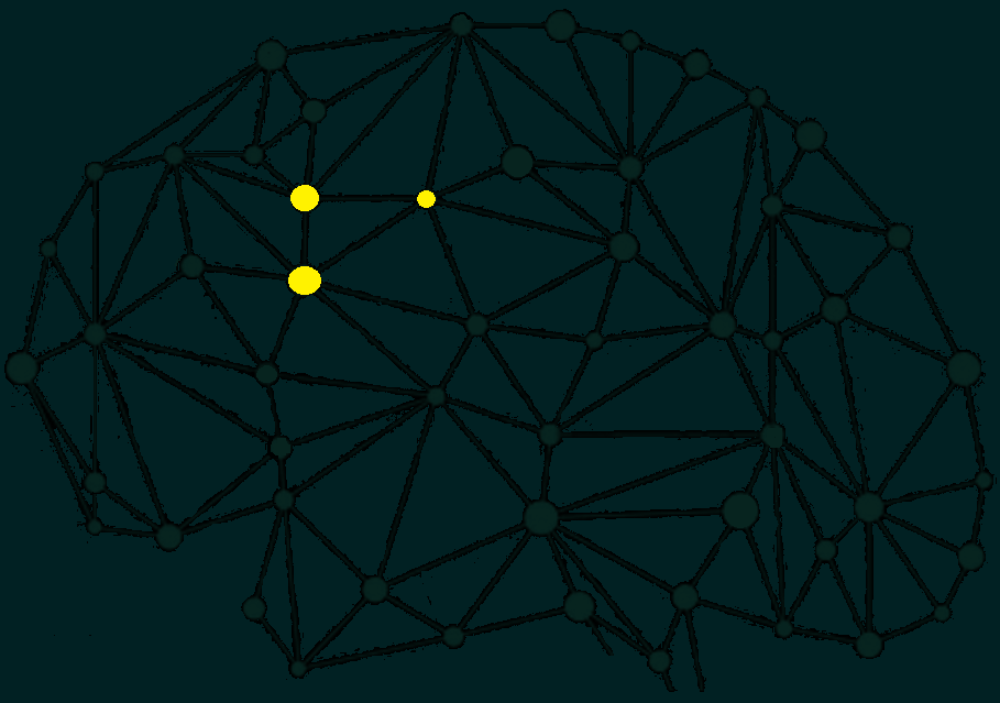 brain_change_in_state_3frames1.gif