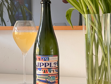 Sidra em Cena: maçã, acidez, taninos e o desafio de harmonizar além da cerveja