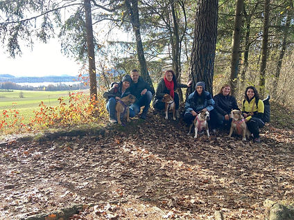 Spaziergang Kärnten.jpg