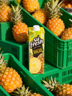 creation_1968369404_edited