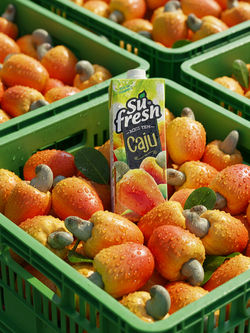 creation_1968332696_edited