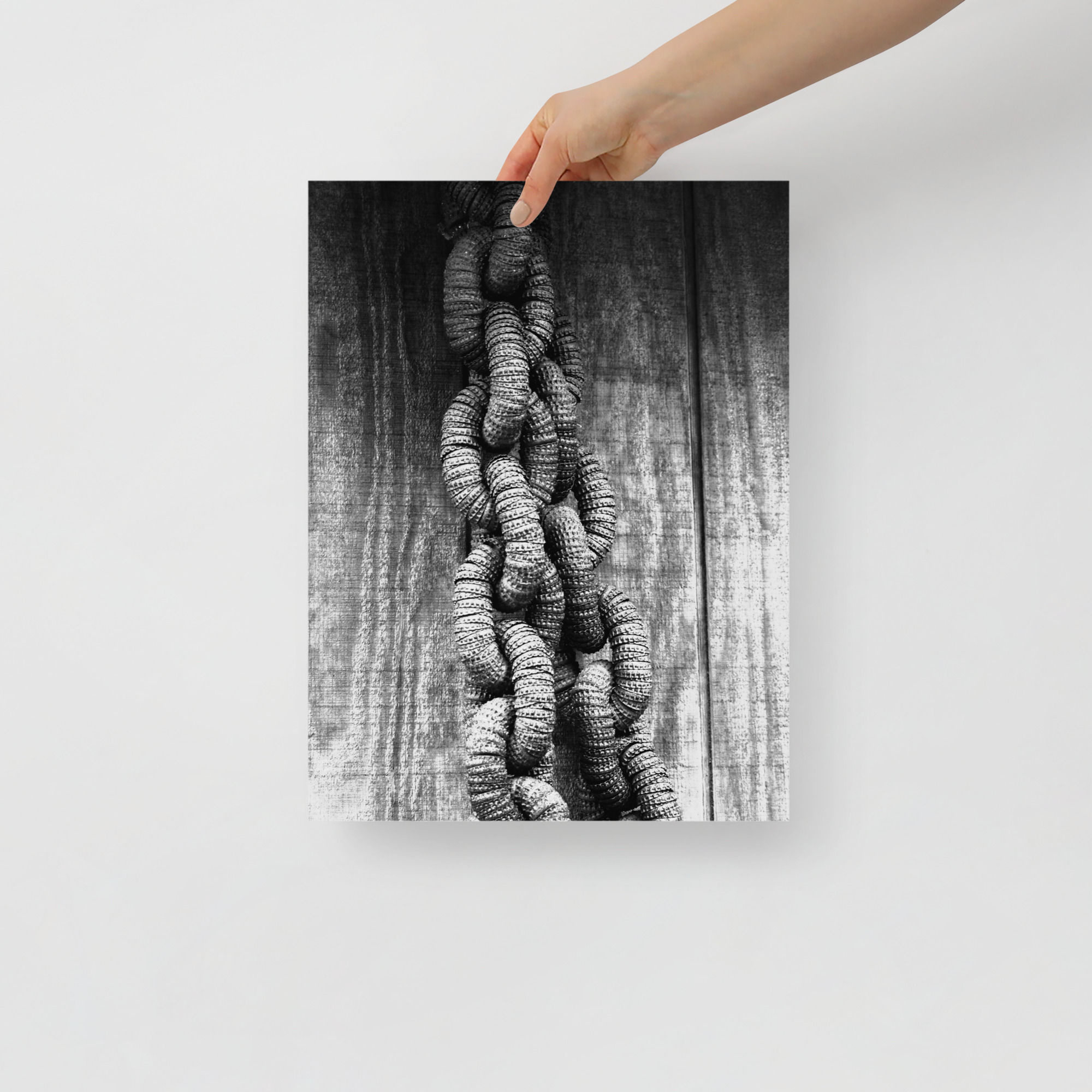 Photo paper poster